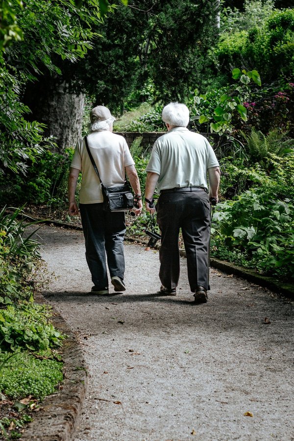 Jardin de plantes adaptées aux climats arides : sélection et conseils
